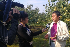 CCTV采访三联合作社理事长刘超纲数字果园建设情况